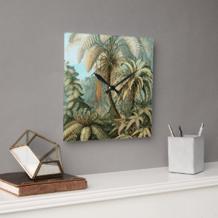 Filicinae door Ernst Haeckel, Oude varenplanten Vierkante Klok