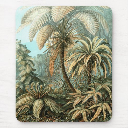 Filicinae door Ernst Haeckel,  varens Planten Muismat (Voorkant)