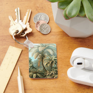 Filicinae door Ernst Haeckel,  varens Planten Sleutelhanger