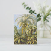Filicinae (Ferns), Ernst Haeckel Fine Art Briefkaart (Staand voorkant)