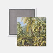 Filicinae (Ferns), Ernst Haeckel Fine Art Magneet (Voorkant / Achterkant)
