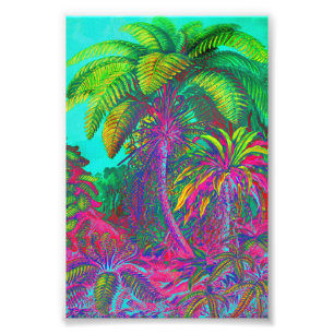 Filicinae Trees en Ferns Foto Afdruk