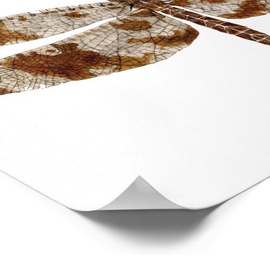 Filigree Skimmer Dragonfly Poster (Hoek)