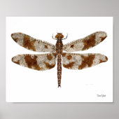 Filigree Skimmer Dragonfly Poster (Voorkant)