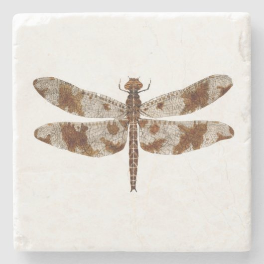 Filigree Skimmer Dragonfly Stenen Onderzetter (Voorkant)