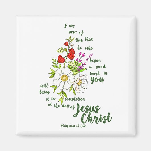 Filipenzen 1:6 magneet (Voorkant)