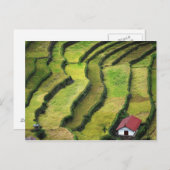 Filipijnen, Batad, verhoogd uitzicht rijst Briefkaart (Voorkant / Achterkant)