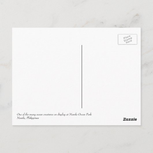 Filipijnen Briefkaart (Achterkant)