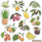 Filipijns / Tropisch fruit Sticker (Voorkant)