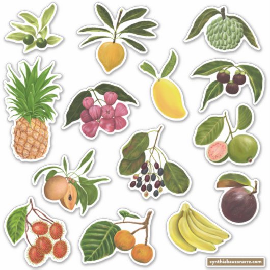 Filipijns / Tropisch fruit Sticker (Voorkant)