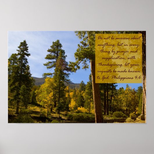 Filipijnse Poster 4:6 (Voorkant)