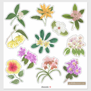 Filipijnse tuinbloemen sticker