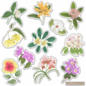 Filipijnse tuinbloemen sticker (Voorkant)