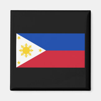 Filipijnse vlag (magneet) magneet