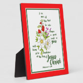 Filippijnen 1:6 fotoplaat (Zijkant)