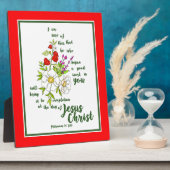 Filippijnen 1:6 fotoplaat (Zijkant)