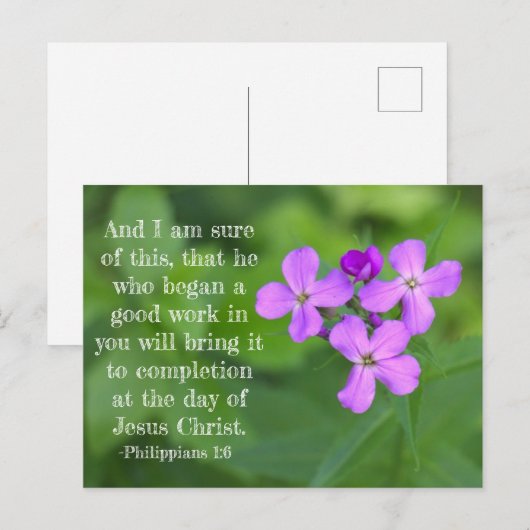 Filippijnen 1:6 Wildbloemen Briefkaart (Voorkant / Achterkant)