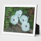 Filippijnen 4:19 fotoplaat (Zijkant)