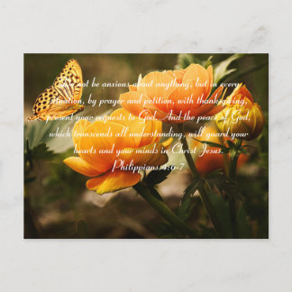 Filippijnen 4:6-7 Wees niet bang voor Bijbelse Ver Briefkaart