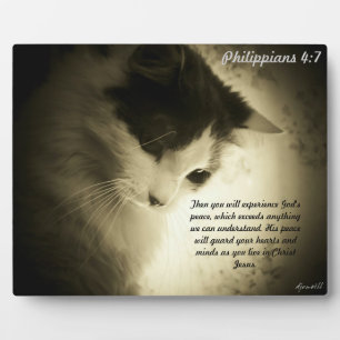 Filippijnen 4:7 fotoplaat