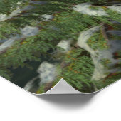 Filippijnen 4:7 poster (Hoek)