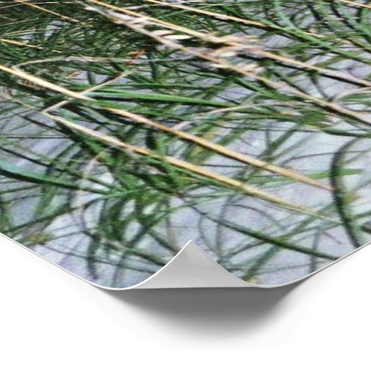 Filippijnen 4-8b poster (Hoek)