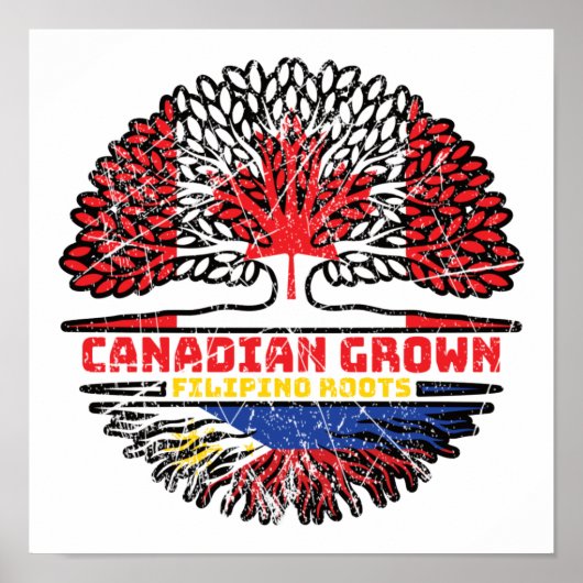 Filippijnen Filippijns Canada - Boom Roots Fl Poster (Voorkant)