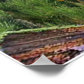 Filippijnen poster met Christelijk cadeau van 4:6 (Hoek)