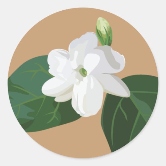 Filippijnse serie: Sampaguita Flower Ronde Sticker (Voorkant)