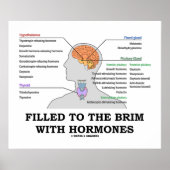 Filled To The Brim With Hormones Endocrine Humor Poster (Voorkant)