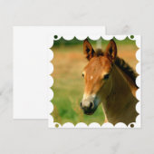 Filly Horse Invitation Kaart (Voorkant / Achterkant)