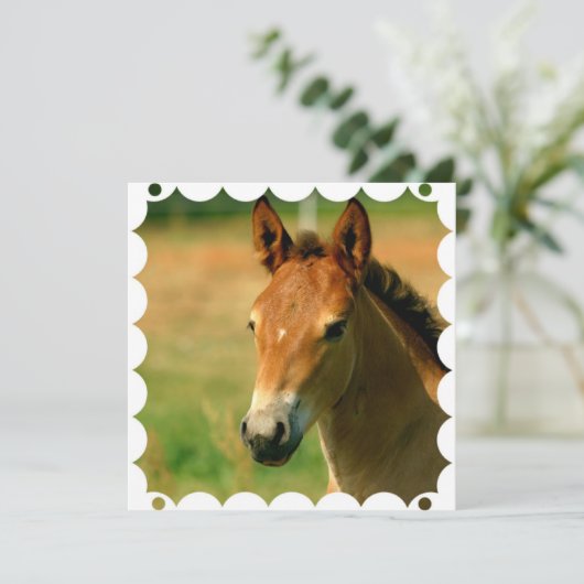 Filly Horse Invitation Kaart (Staand voorkant)