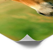 Filly Horse Print (Hoek)