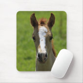 Filly Muismat (Met muis)