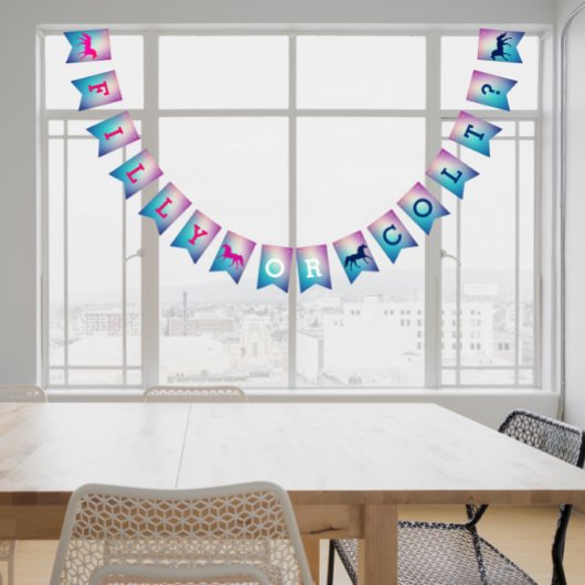 Filly of Colt Pink en Blue Gender onthullen Buntin Vlaggetjes