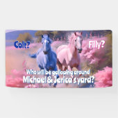  filly of colt Westerne stijl Spandoek (Horizontaal)