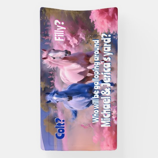 filly of colt Westerne stijl Spandoek (Verticaal)