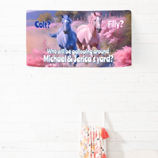 filly of colt Westerne stijl Spandoek (Insitu)