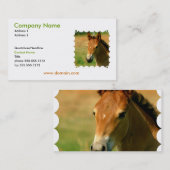 Filly Visitekaartje (Voorkant / Achterkant)