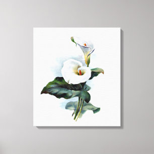   film Calla Lily Print