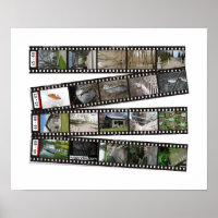 Film Strip 2003-04 Wall Print