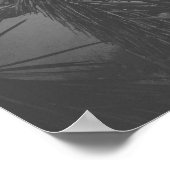 Filmnoir Black en White Joshua Tree Poster (Hoek)