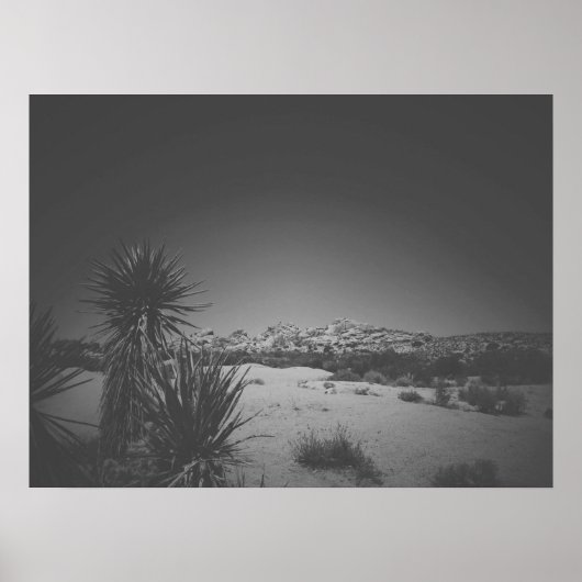 Filmnoir Black en White Joshua Tree Poster (Voorkant)