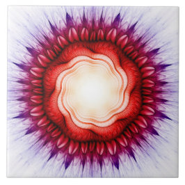 Filmomhulde ornament tegeltje