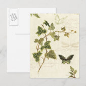 Films en botervliegen briefkaart (Voorkant / Achterkant)