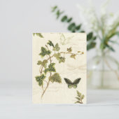 Films en botervliegen briefkaart (Staand voorkant)