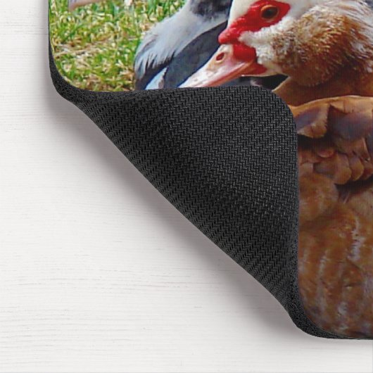 Films Muismat (Hoek)