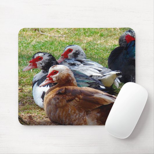 Films Muismat (Met muis)