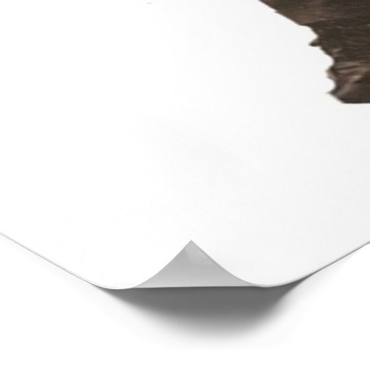 Films van Laurel en Hardy Poster (Hoek)