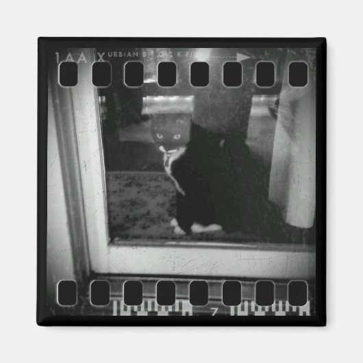 Filmstrips Lucy Magneet (Voorkant)